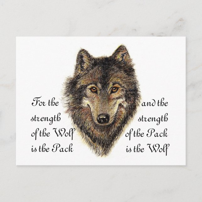 Wolf and Pack Quote - Animal Collection Postcard (Front)
