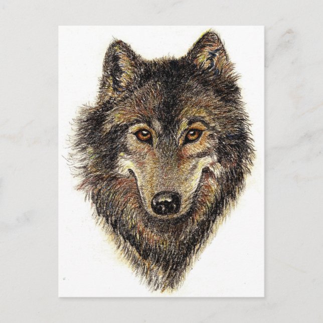 Wolf and Pack Quote - Animal Collection Postcard (Front)