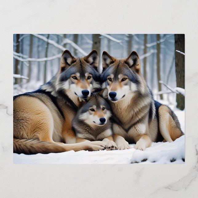 Wolf Animal Nature Wildlife Affection Caring Foil Holiday Postcard (Front)