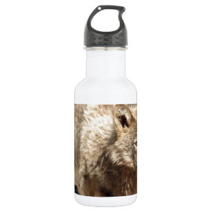 Wolf Animals Peace Love Nature Park Wolves Destiny 532 Ml Water Bottle
