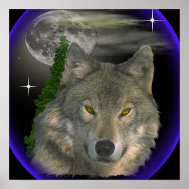 wolf at night poster (Front)