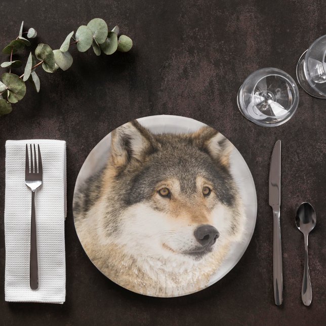 Wolf birthday boy paper plate (Creator Uploaded)