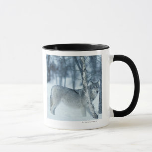 Wolf (Canis lupus) during Winter Mug