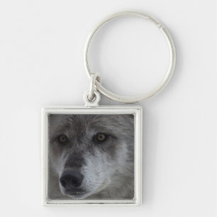 Wolf (Canus lupus) from Yellowstone National Key Ring