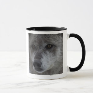 Wolf (Canus lupus) from Yellowstone National Mug