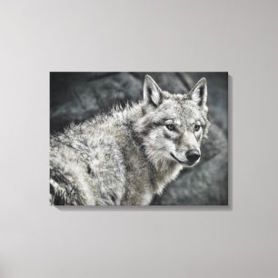 WOLF:Canvas Print