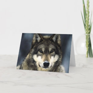 Wolf Card