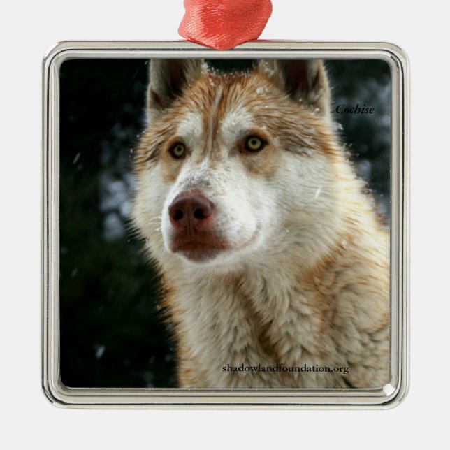 Wolf Christmas Tree Ornament (Front)