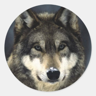 Wolf Classic Round Sticker