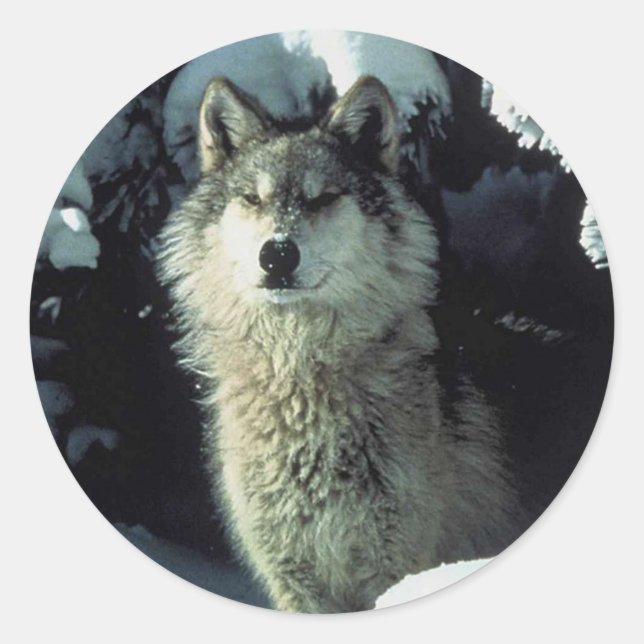 Wolf Classic Round Sticker (Front)