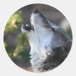 wolf classic round sticker
