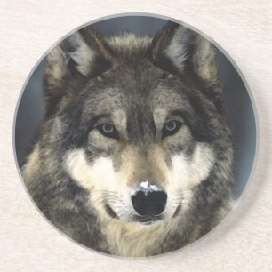 Wolf Coaster
