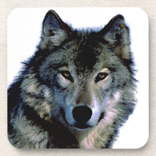 Wolf Coaster