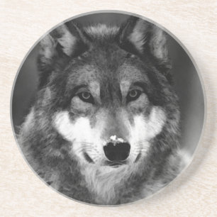Wolf Coaster