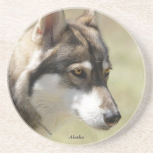 Wolf Coaster