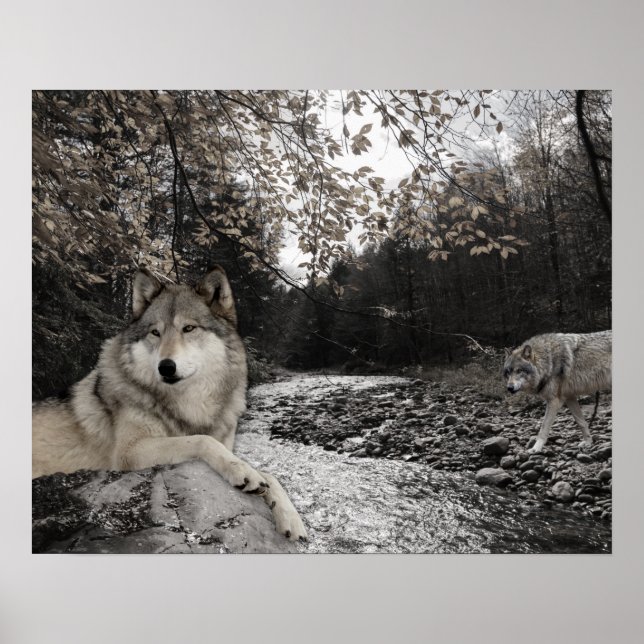 Wolf Creek Brook Forest Landscape Poster (Front)