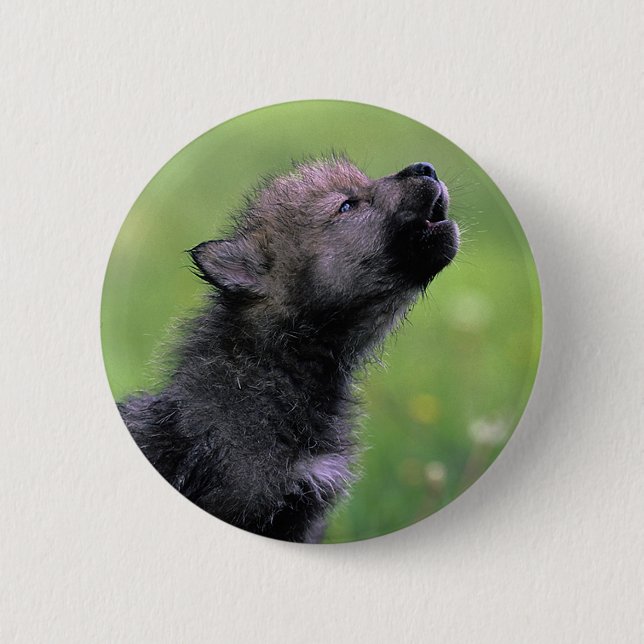 Wolf Cub Howling 6 Cm Round Badge (Front)