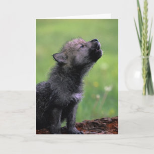 Wolf Cub Howling Missing You Card