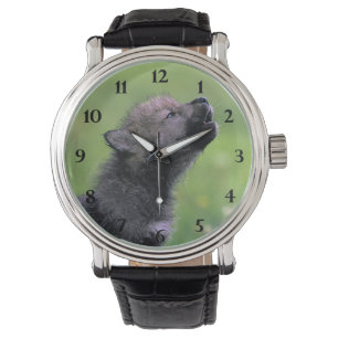 Wolf Cub Howling Watch