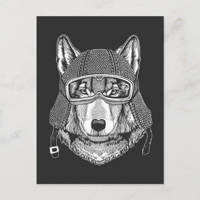 Wolf Dog Motorcycle Rider Postcard (Front)