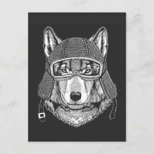 Wolf Dog Motorcycle Rider Postcard
