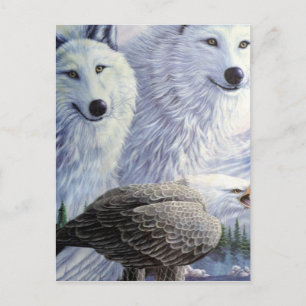 Wolf Eagle Animals Nature Park Office Business Art Postcard