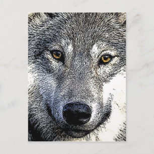 Wolf Eyes Artwork Postcard