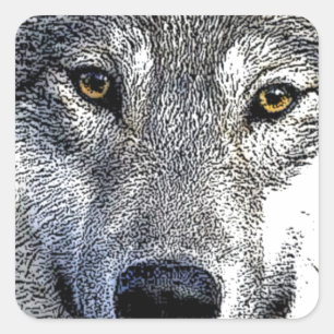 Wolf Eyes Artwork Square Sticker