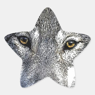 Wolf Eyes Artwork Star Sticker