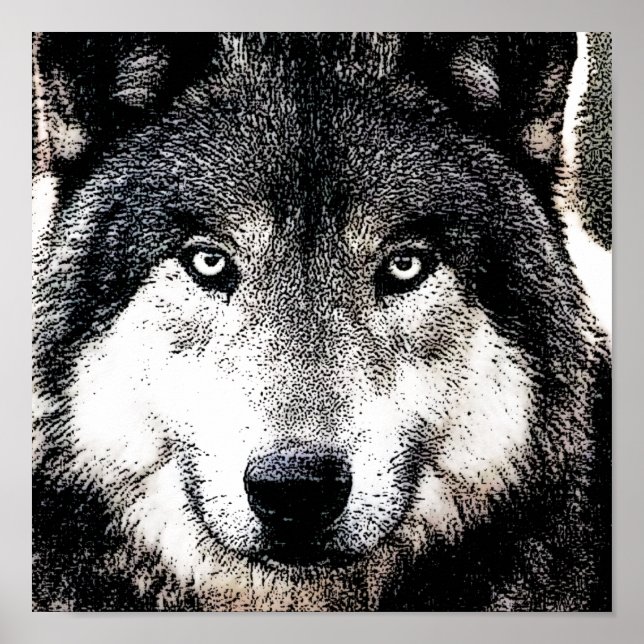 Wolf Eyes - Black & White Wild Animal Artwork Poster (Front)