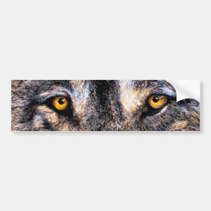 Wolf Eyes Bumper Sticker