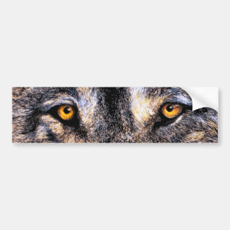 Wolf Eyes Bumper Sticker