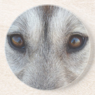 Wolf Eyes Coaster Wolf Dog Art Coaster & GIfts