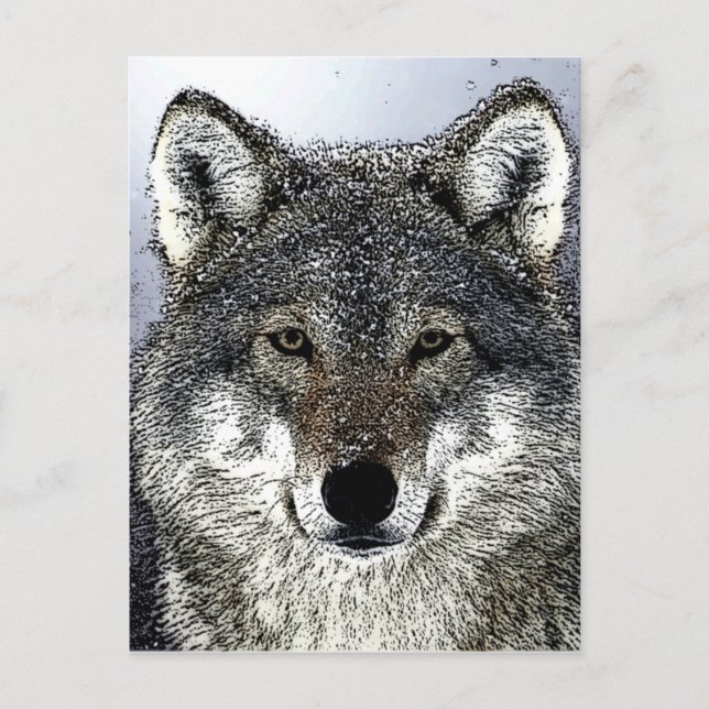 Wolf Eyes Postcard (Front)