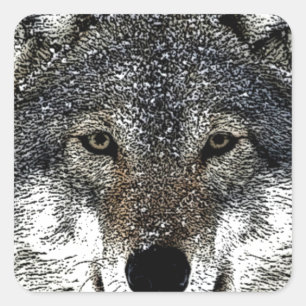 Wolf Eyes Square Sticker