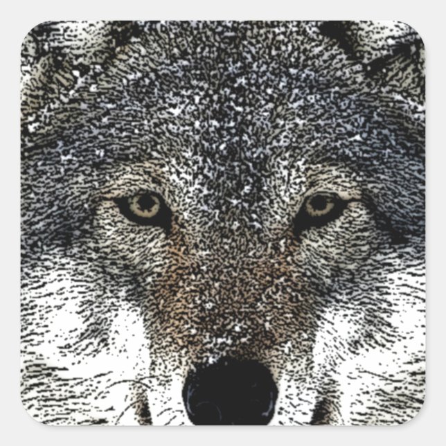 Wolf Eyes Square Sticker (Front)