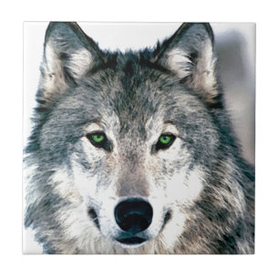 Wolf Eyes wild nature animal Print Tile