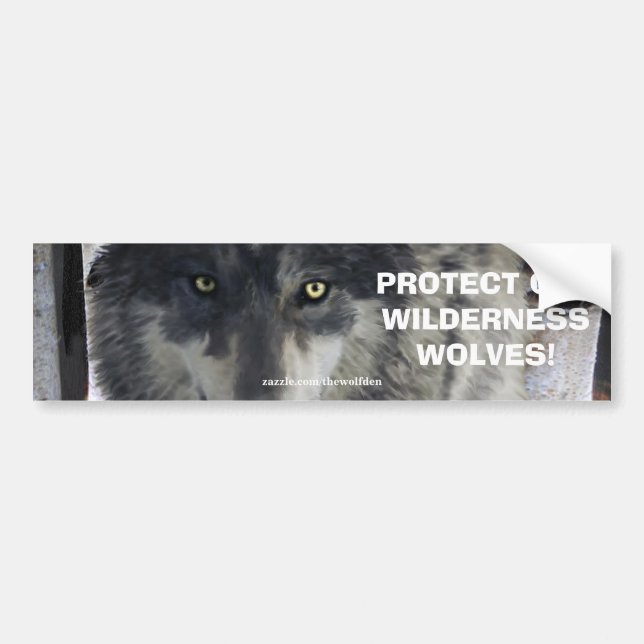 WOLF EYES Wildlife Conservation Bumper sticker (Front)