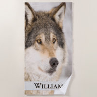 Wolf face head wildlife winter forest name