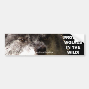 WOLF FACE Wildlife Conservation Bumper sticker