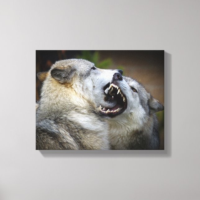 Wolf Fight Canvas Print (Front)
