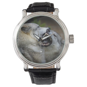 Wolf Fight Watch