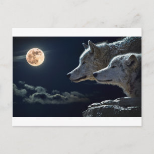 Wolf Gifts Postcard