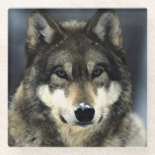 Wolf Glass Coaster