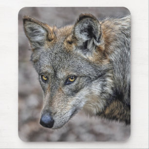 Wolf Glimpse Close Up Mouse Mat