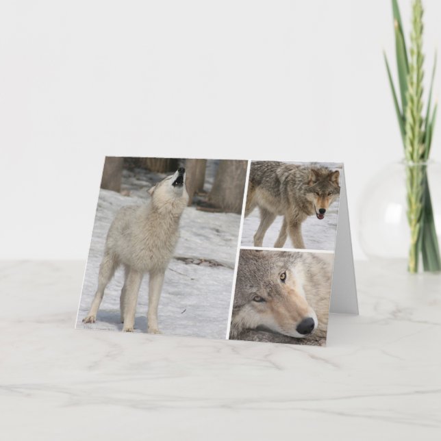 Wolf - Greeting Card - Blank Personalize It (Front)