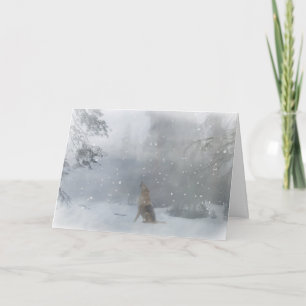 Wolf Happy Holidays Christmas Card