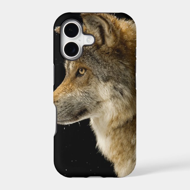 Wolf Head Side View (Back)