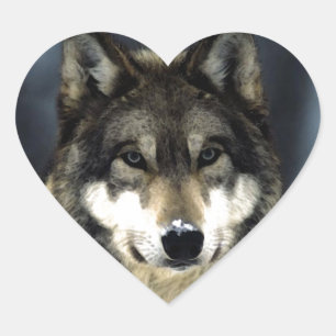 Wolf Heart Sticker