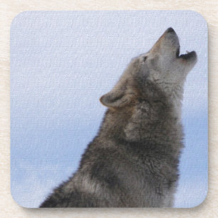 Wolf Howl Coaster